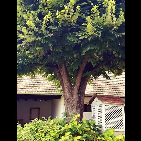 Prázdninový dům Hars Meg Az Alja