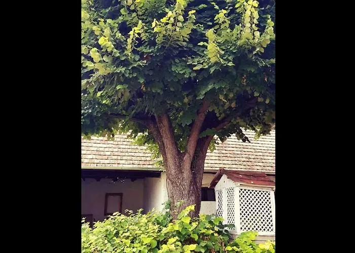 Holiday home Hars Meg Az Alja